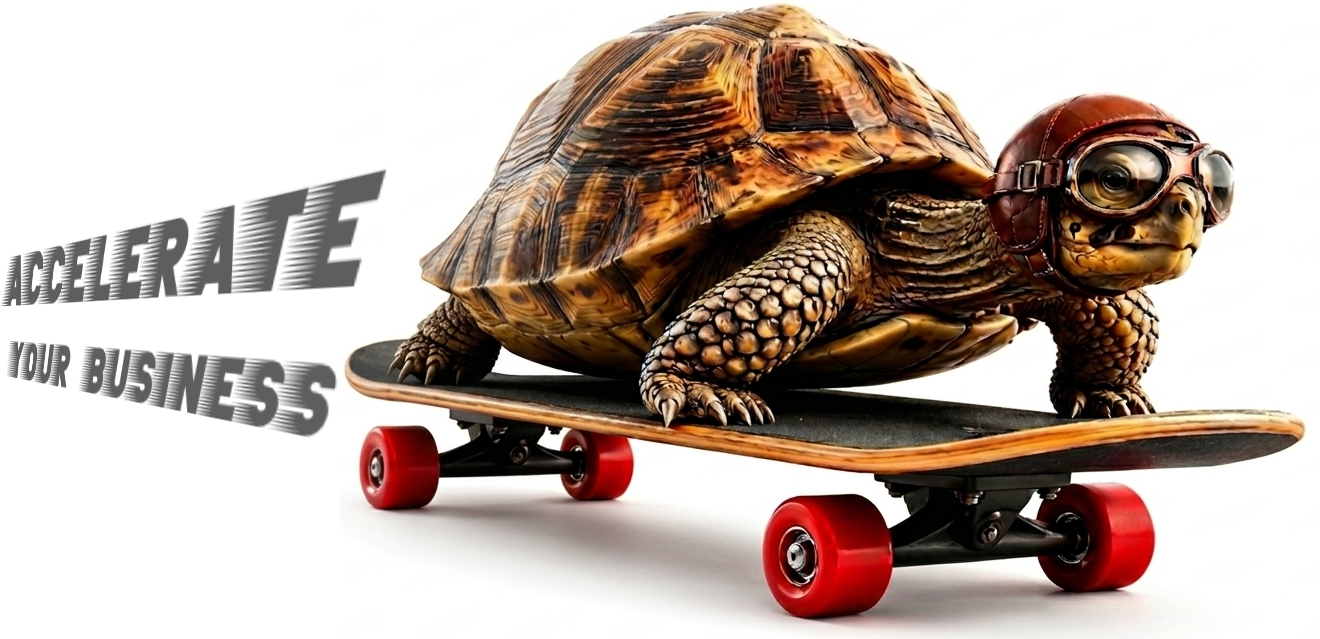 A tortoise wearing aviator goggles riding a skateboard beside the words Accelerate your business.